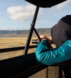 Bestday Safaris