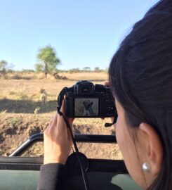 Bestday Safaris
