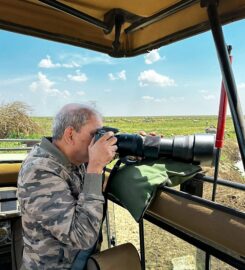 Bestday Safaris