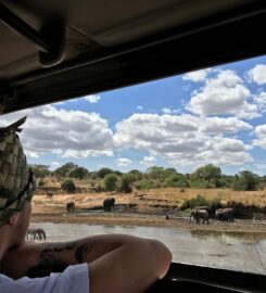 Bestday Safaris