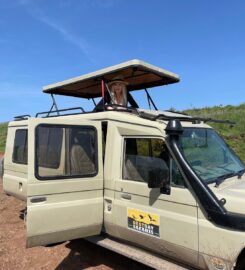 Bestday Safaris