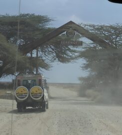 Bestday Safaris