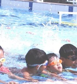 Total Swimming | Corporate Office