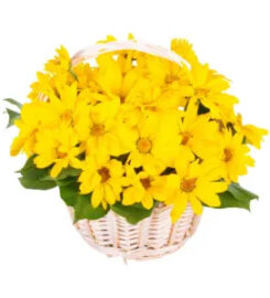 LaPier's Flowers & Gifts
