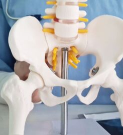 Dr. Anant Kumar Tiwari- Orthopaedic Surgeon Delhi