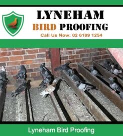 Lyneham Bird Proofing