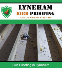 Lyneham Bird Proofing