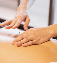 Primal Movement Solutions Sports & Injury Clinic