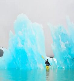 Expeditions Alaska