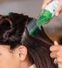 Lice Clinics of America – Boise
