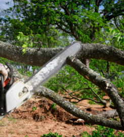 RTR Tree Service