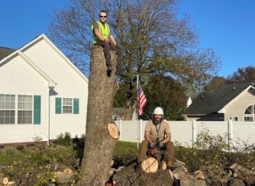 Top-Rated Tree Service in Kannapolis, NC
