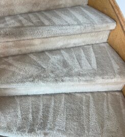Better Choice Restoration and Carpet Cleaning