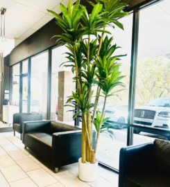 Aesthetica Salon Suites