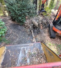 Next Step Tree Removals