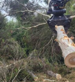 Next Step Tree Removals