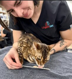 Urgent Vet