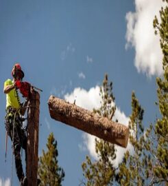 Osprey Arbor Works