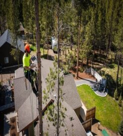 Osprey Arbor Works