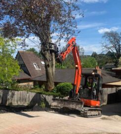 Next Step Tree Removals