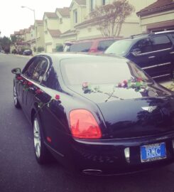 Ambassador Limousines