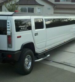 Ambassador Limousines