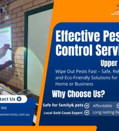 Wipeout Pest Services – Gold Coast Pest Control Experts in Surf &hellip;