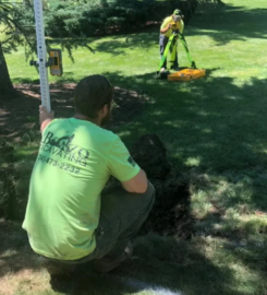 Bonzo Septic Repair and Installation