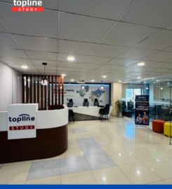 Topline Study