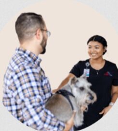 Urgent Vet