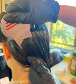 Brooklyn Lice Experts