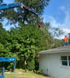 My Florida Tree Guys