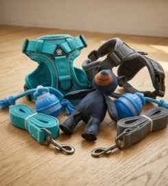Azpaws Pet Collections