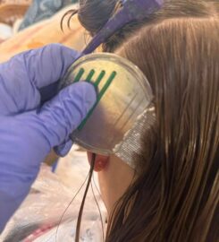Brooklyn Lice Experts