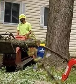Mathias Precision Tree Service