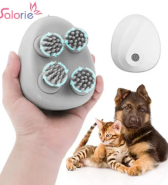 Azpaws Pet Collections