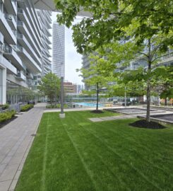 Oakly Landscaping and Commercial Snow Removal Experts