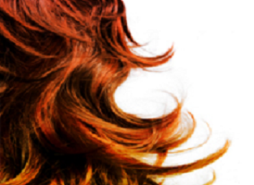 Shear Harmony Salon