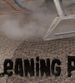 Sunshine Carpet Cleaners Weeki Wachee