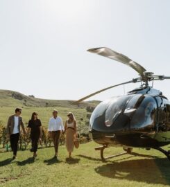 Helicopter Me