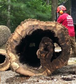 Amazing Tree Services