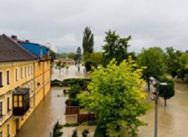 RiverTree Insurance