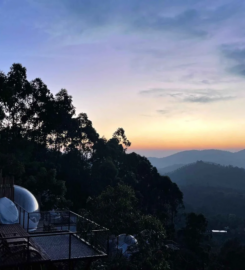 Best Honeymoon Resorts in Munnar | LuxeGlamp