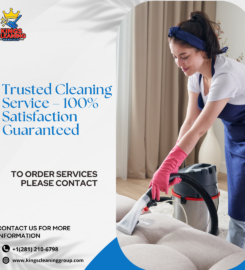 Professional Home Cleaning Services