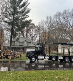 Big Chipper Tree Service