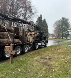 Big Chipper Tree Service