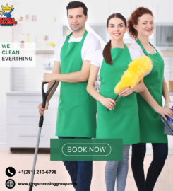 Professional Home Cleaning Services