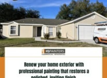 IQ Painters
