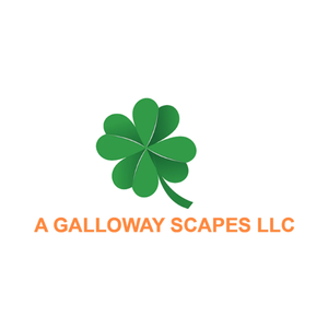 A Galloway Scapes