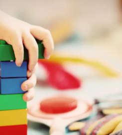 Autism Learn Play Inc.